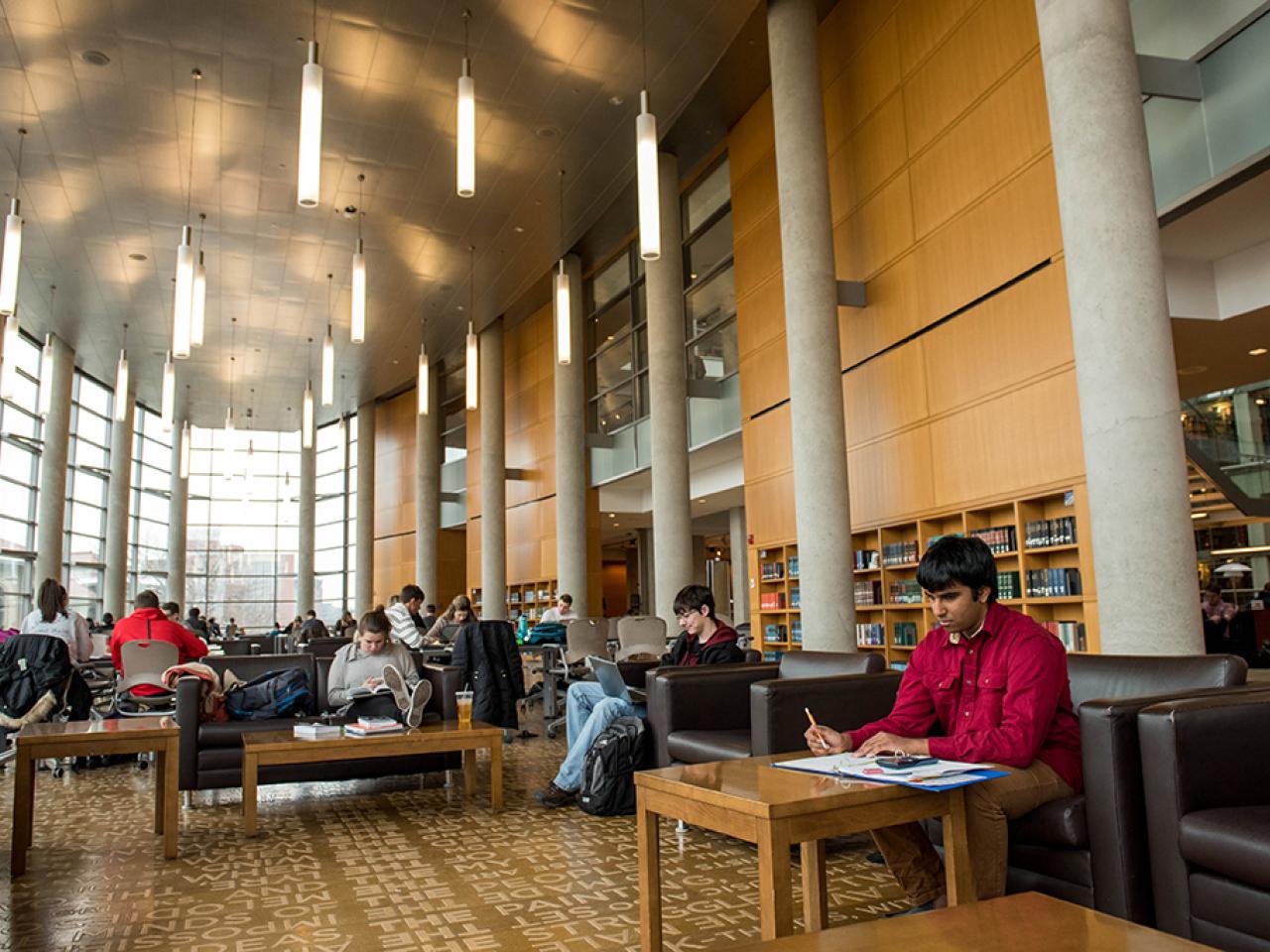 Student studying at Thompson Library