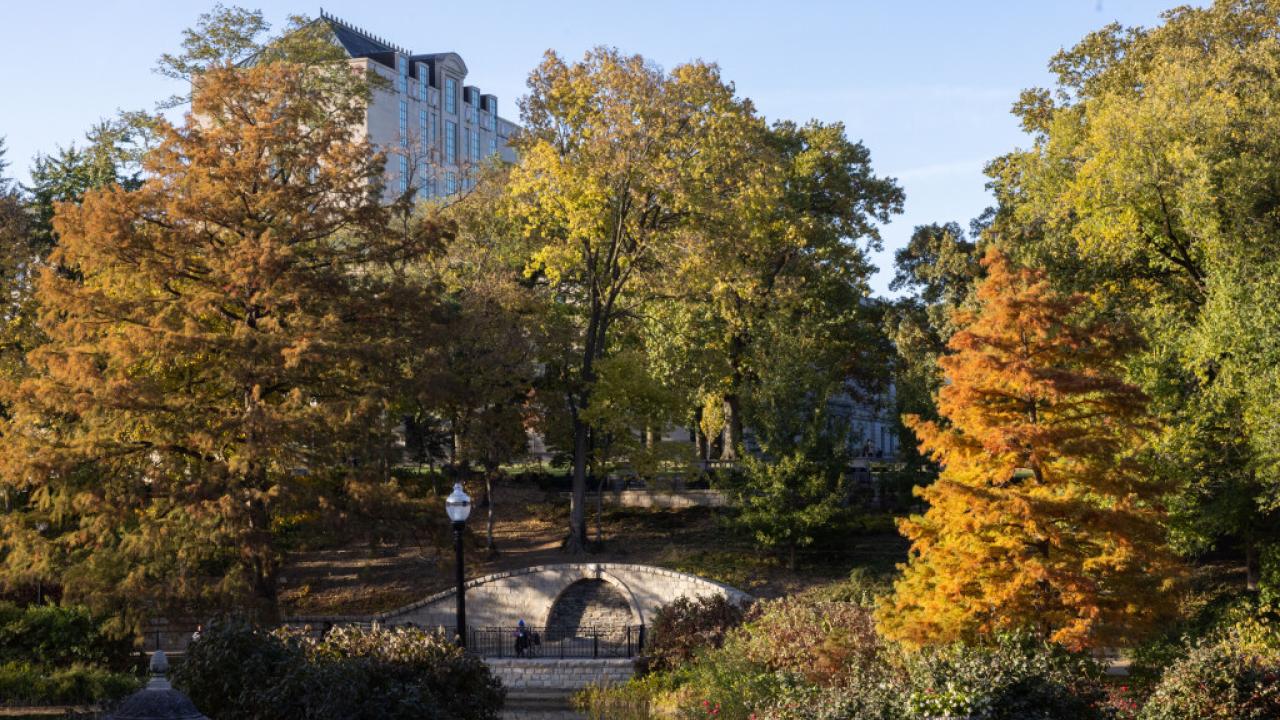 Browning Ampitheatre